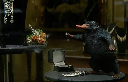 神奇动物在哪里系列