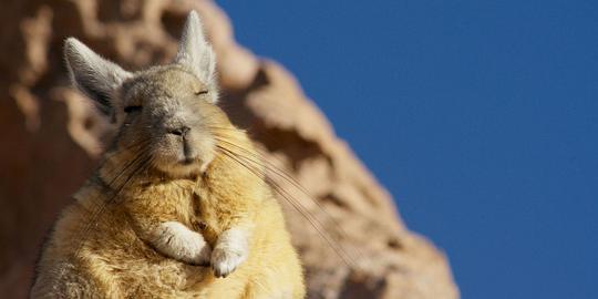 世界地球日，带你不出门看世界