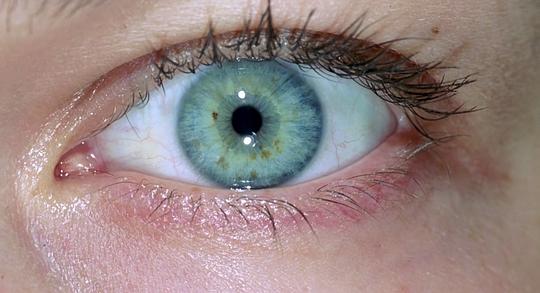 米拉·乔沃维奇主要出演电影