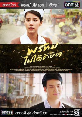 命中不注定封面图