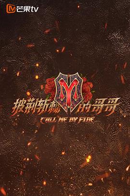 披荆斩棘的哥哥封面图